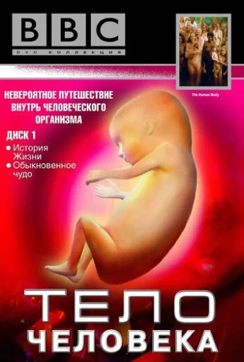 BBC: Тело человека (1998)